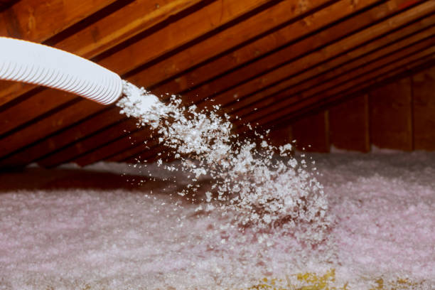 Best Commercial Insulation in Geneva, FL